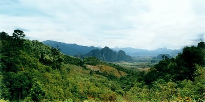 parque natural Khao Sok panorama
